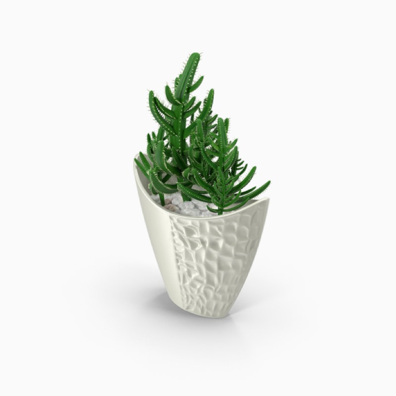 Egestas dapibus - Image 3